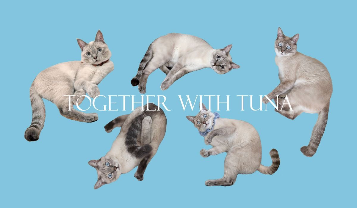 tuna