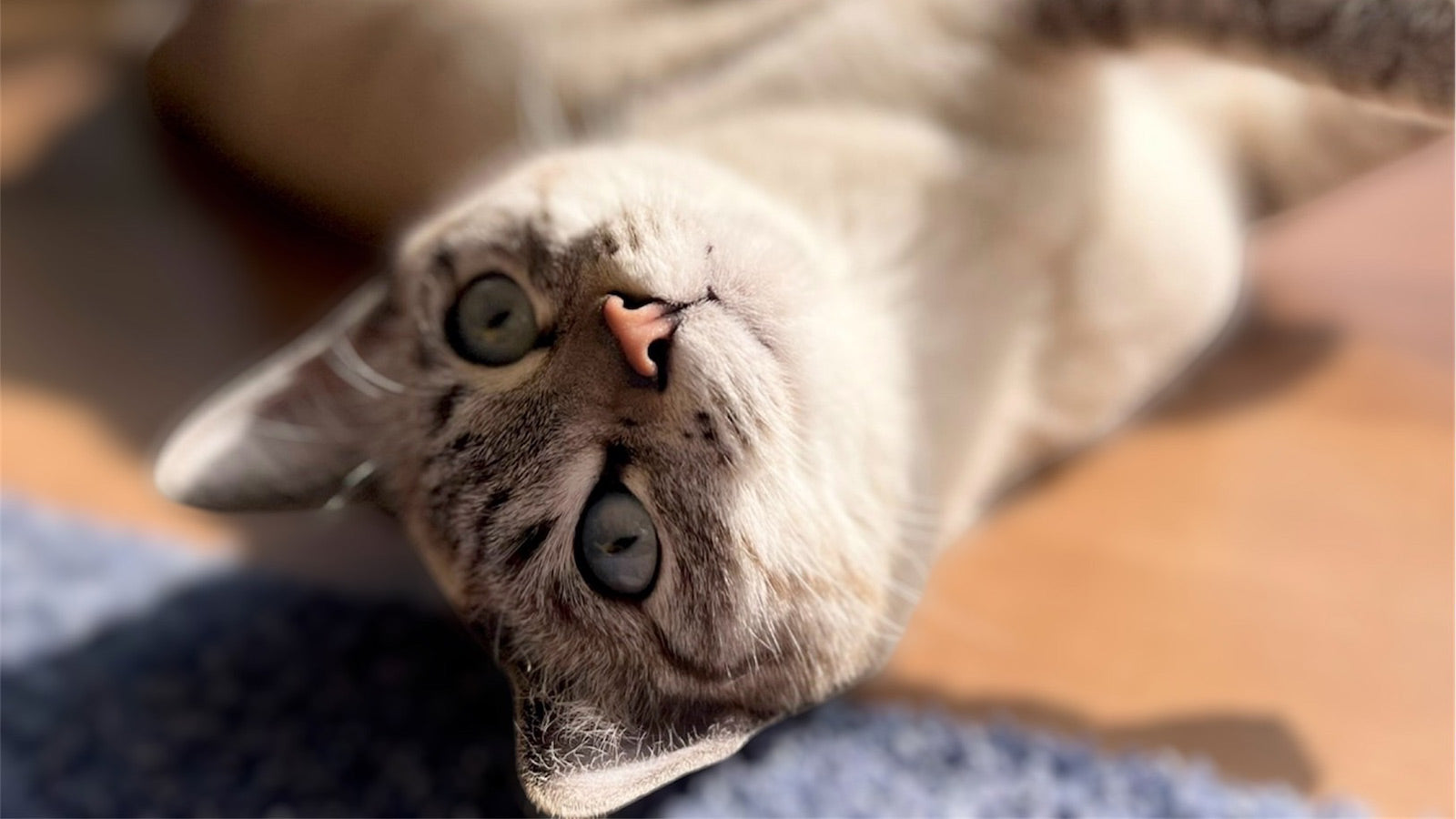 江口めぐみ
