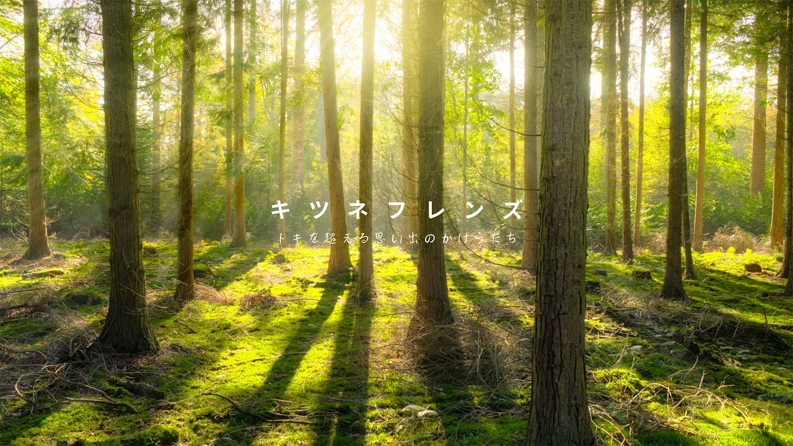 キツネフレンズ