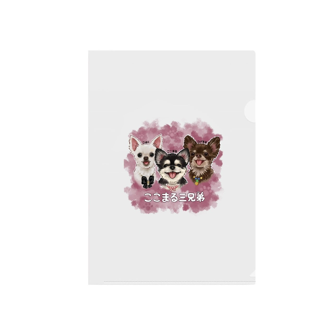 ここまる3兄弟イラスト クリアファイル