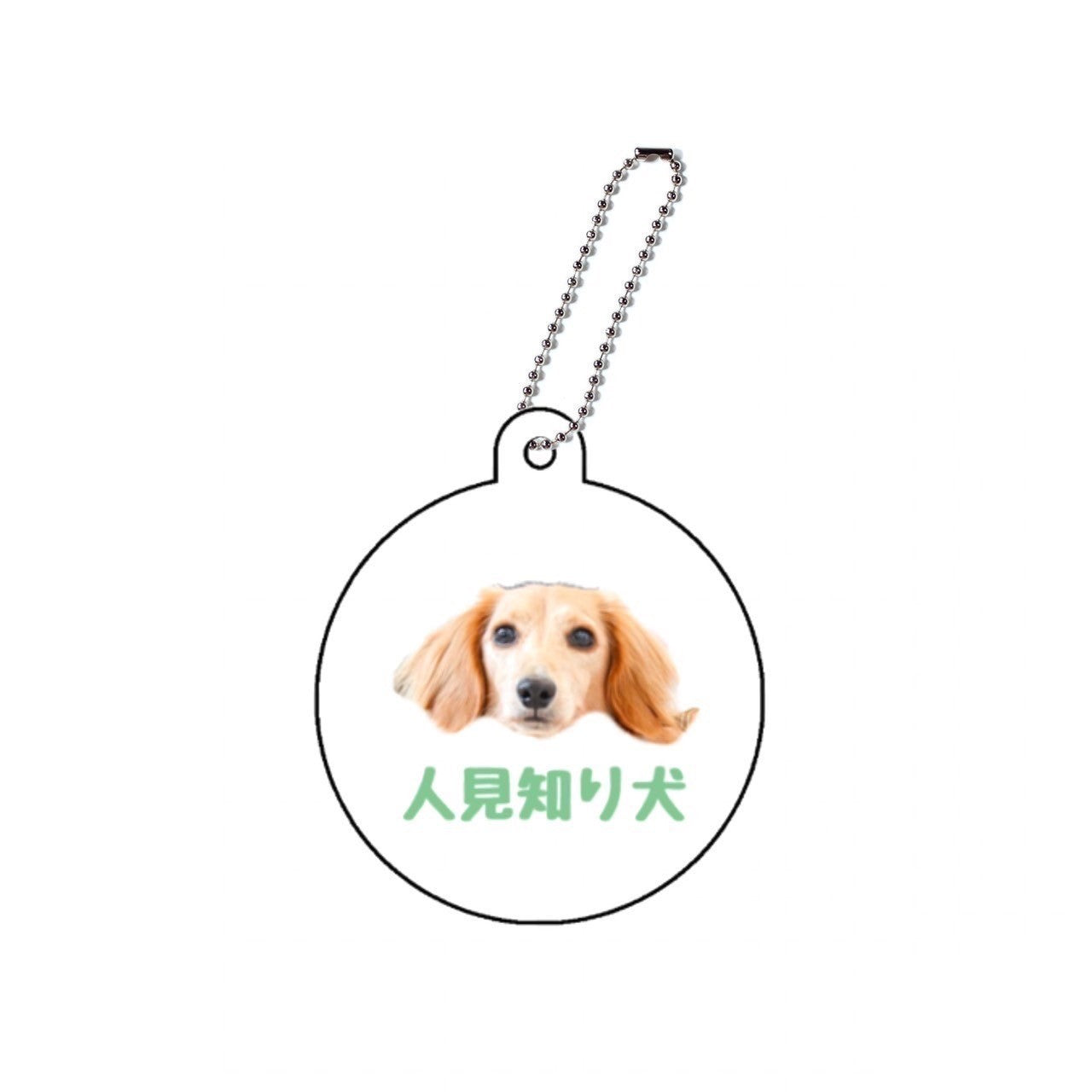 人見知り犬アクキー