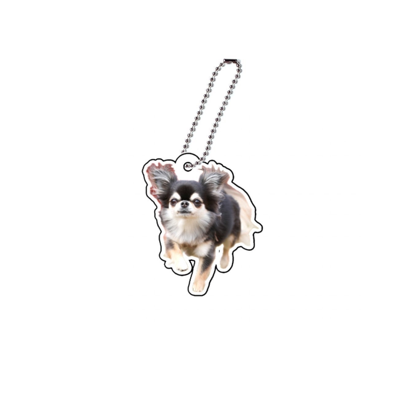 アクキー C