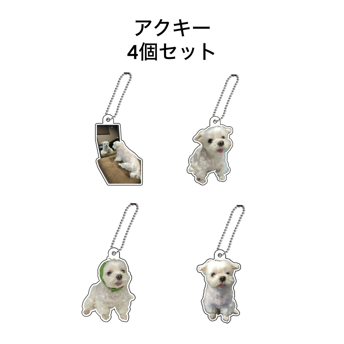 Nanatese アクキーセット