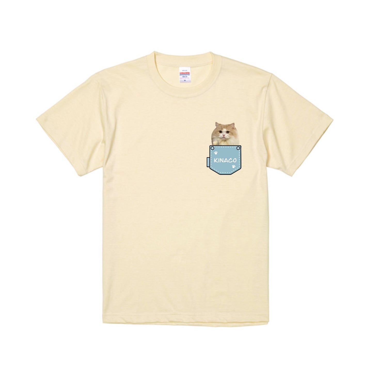 きなこTシャツ