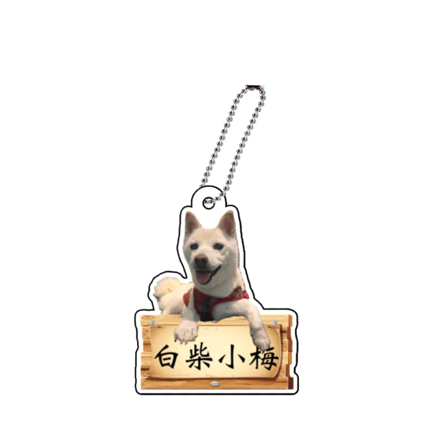 白柴小梅アクキーA