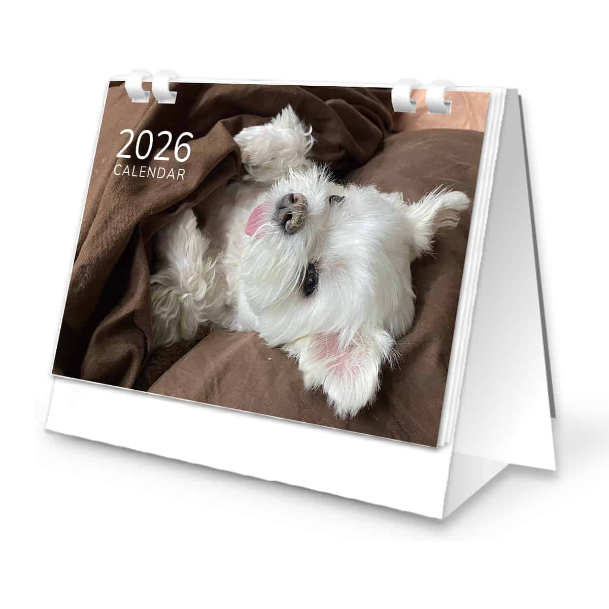 卓上カレンダー