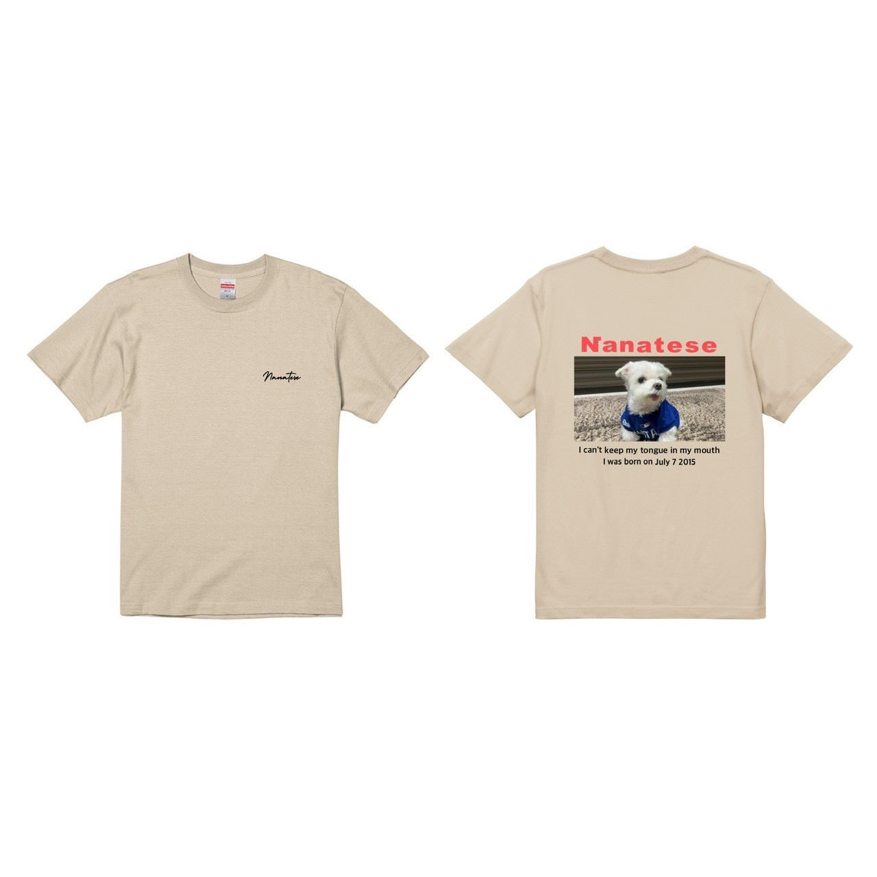 Nanatese TシャツB(カラー)