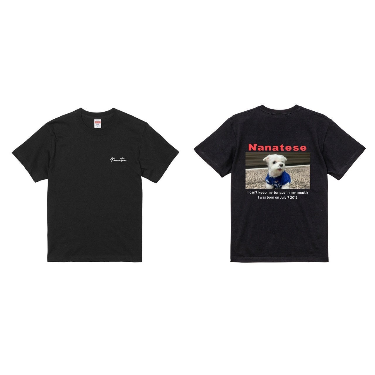 Nanatese TシャツB(カラー)