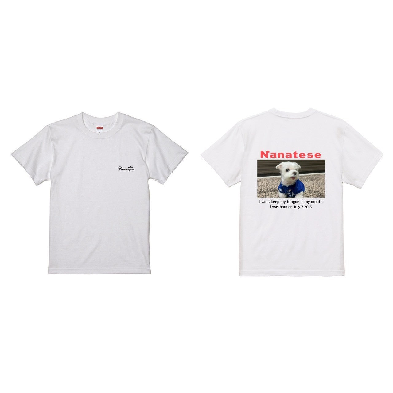 Nanatese TシャツB(カラー)