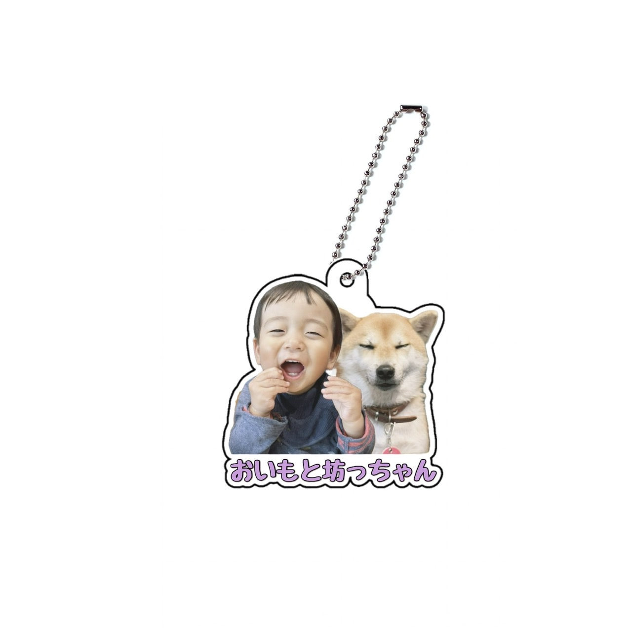 柴犬おいもと坊っちゃんアクキーA