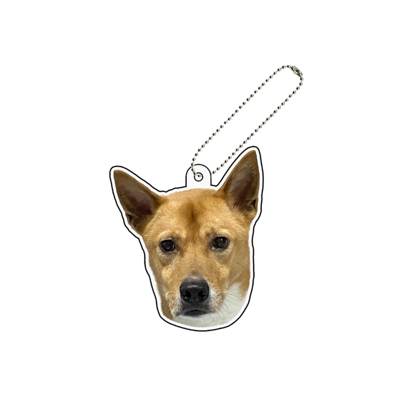 明智アクキー
