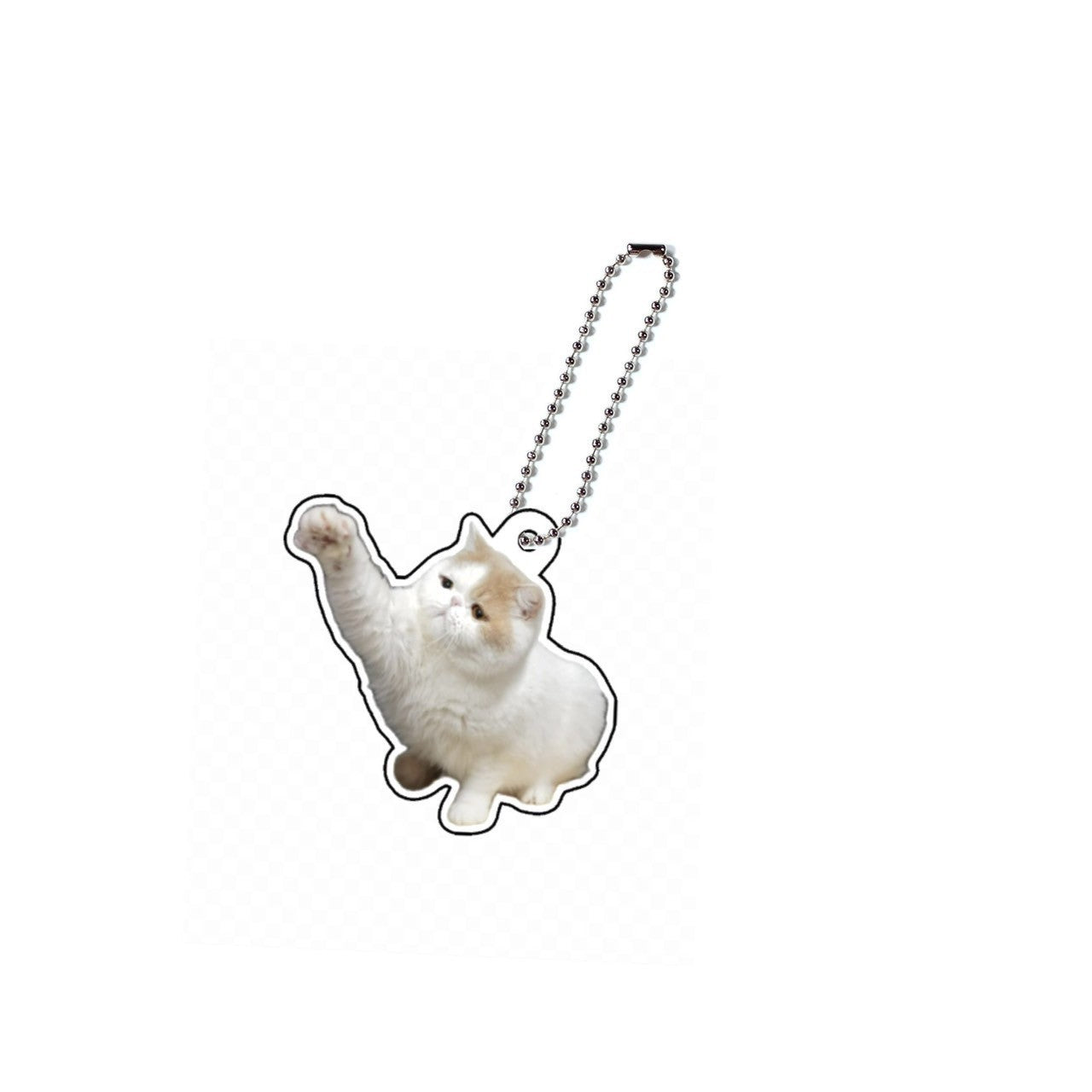 がんも♡ぽてと アクキーB