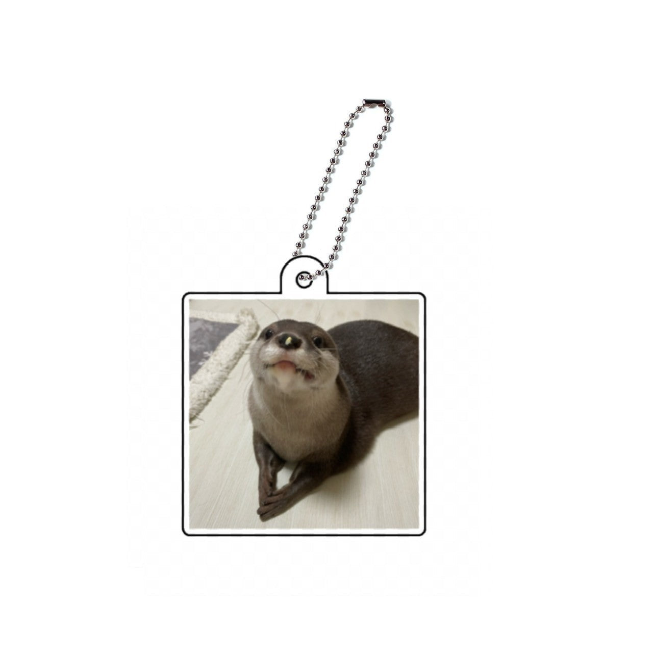 makotoアクキーC
