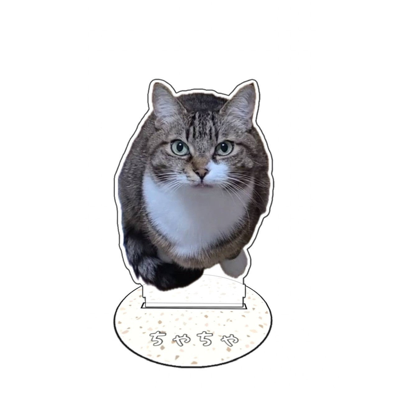 CHACHA アクスタB