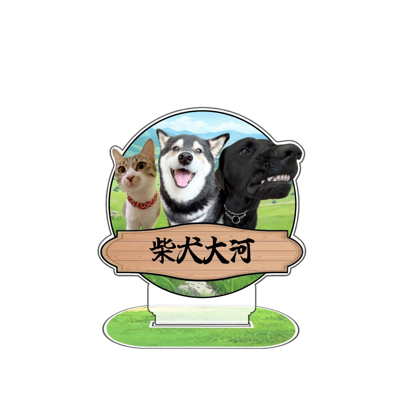 柴犬大河アクスタ