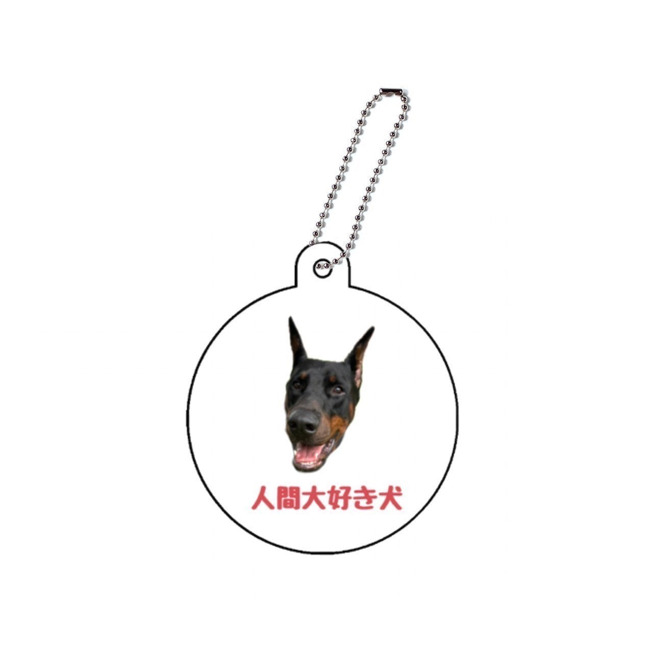 人間大好き犬アクキー