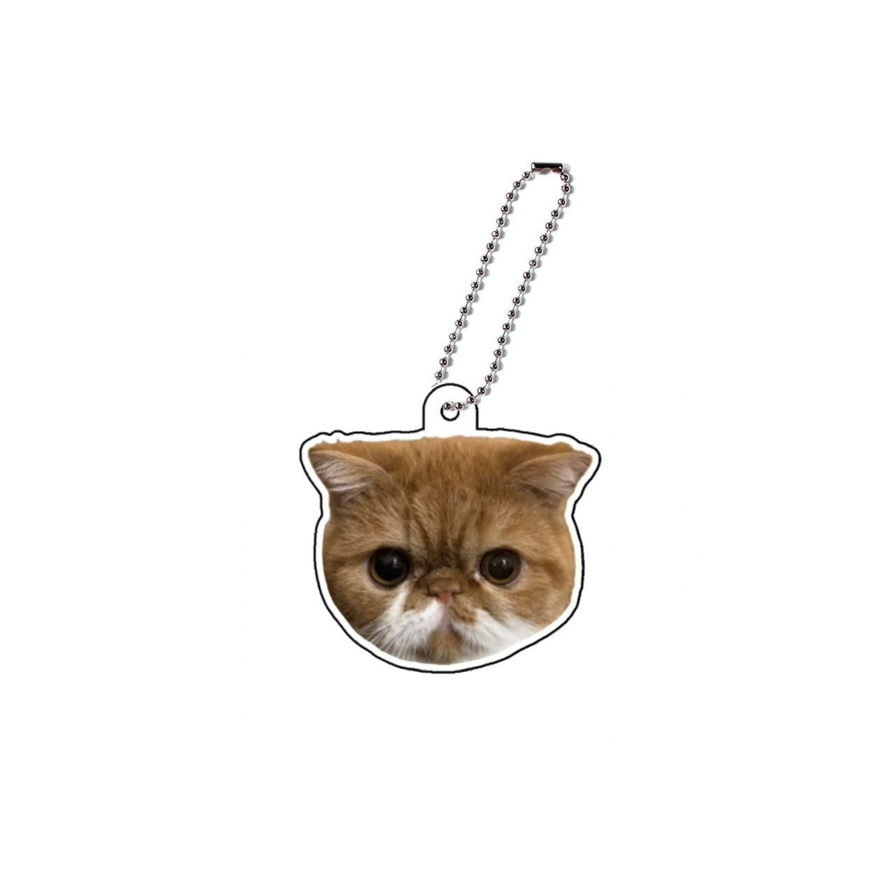 まめ吉アクキーB