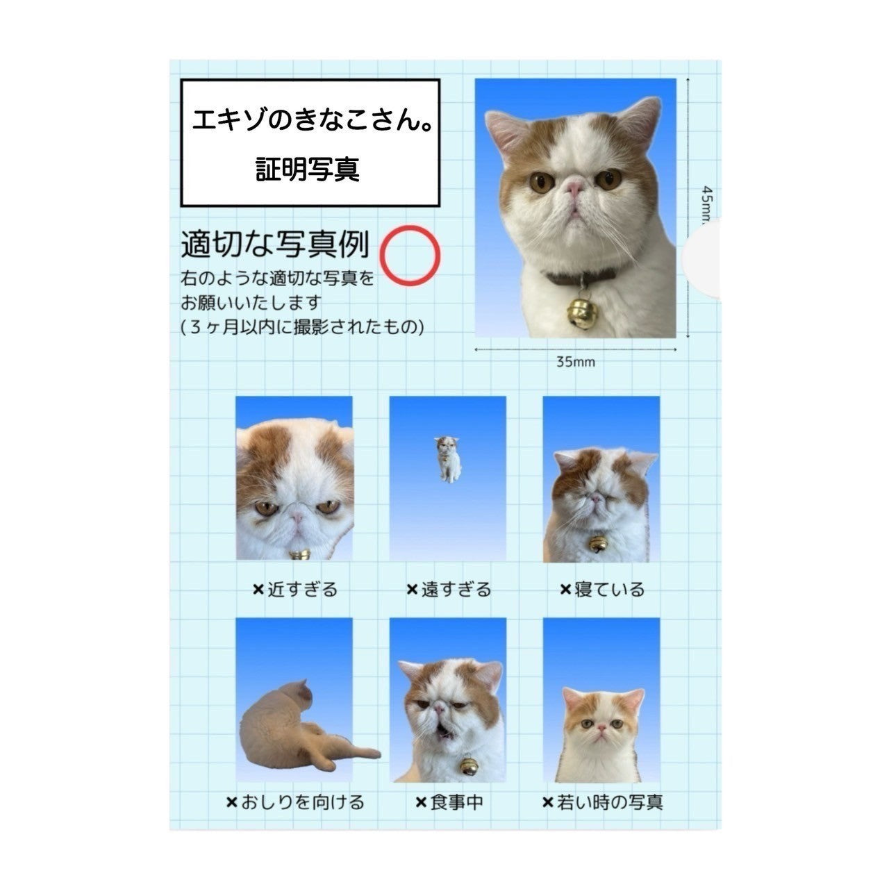 ひるね氏クリアファイル