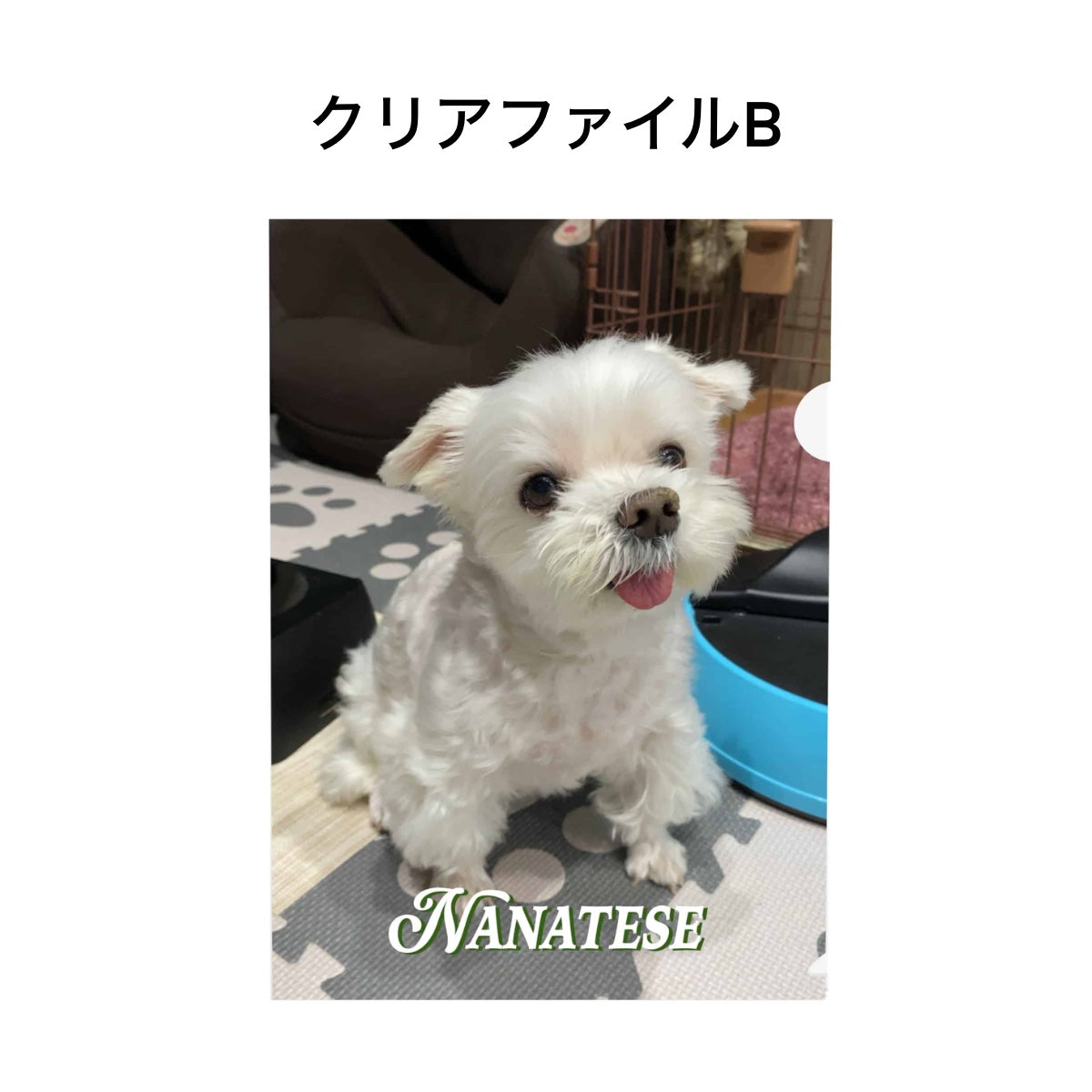 Nanatese クリアファイル