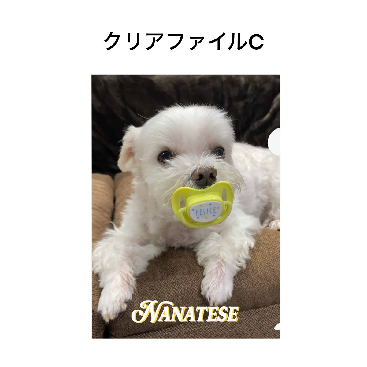 Nanatese クリアファイル