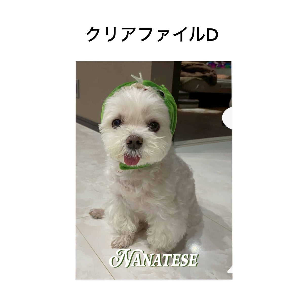Nanatese クリアファイル