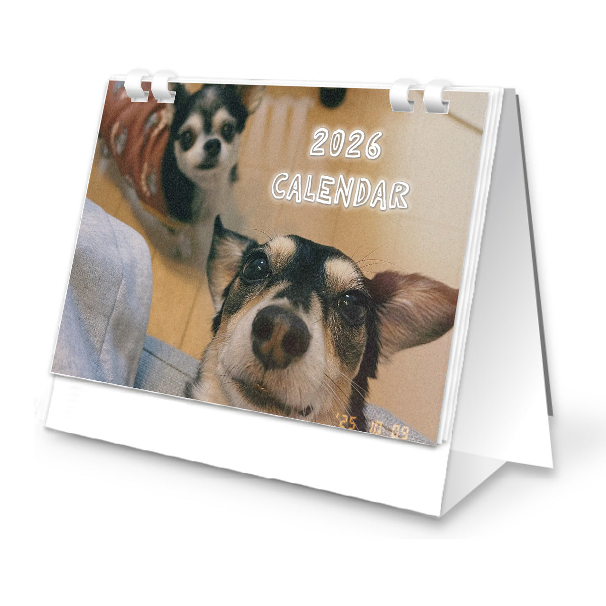 保護犬ちわっくす 大福2026 卓上カレンダー