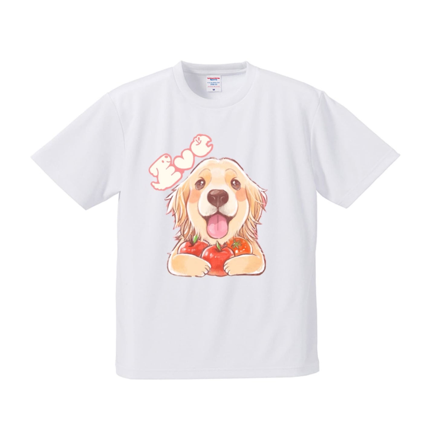 ドライメッシュ イヴTシャツ
