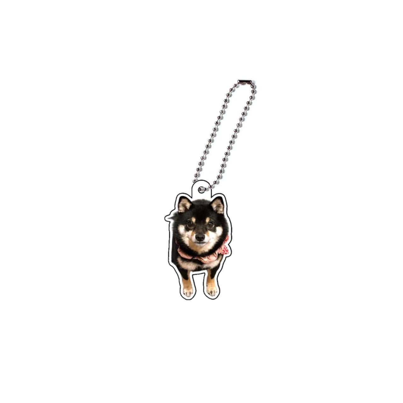 ふーちゃんアクキー