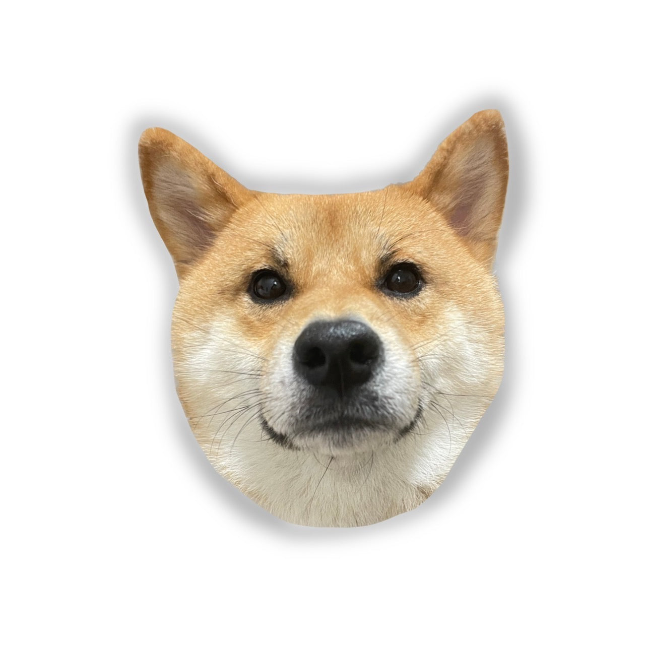 ごんちゃんステッカー