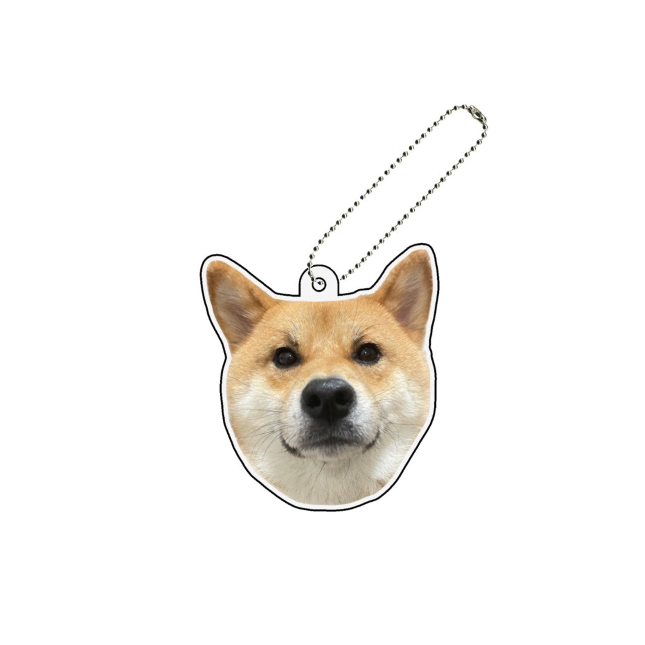 ごんちゃんアクキー