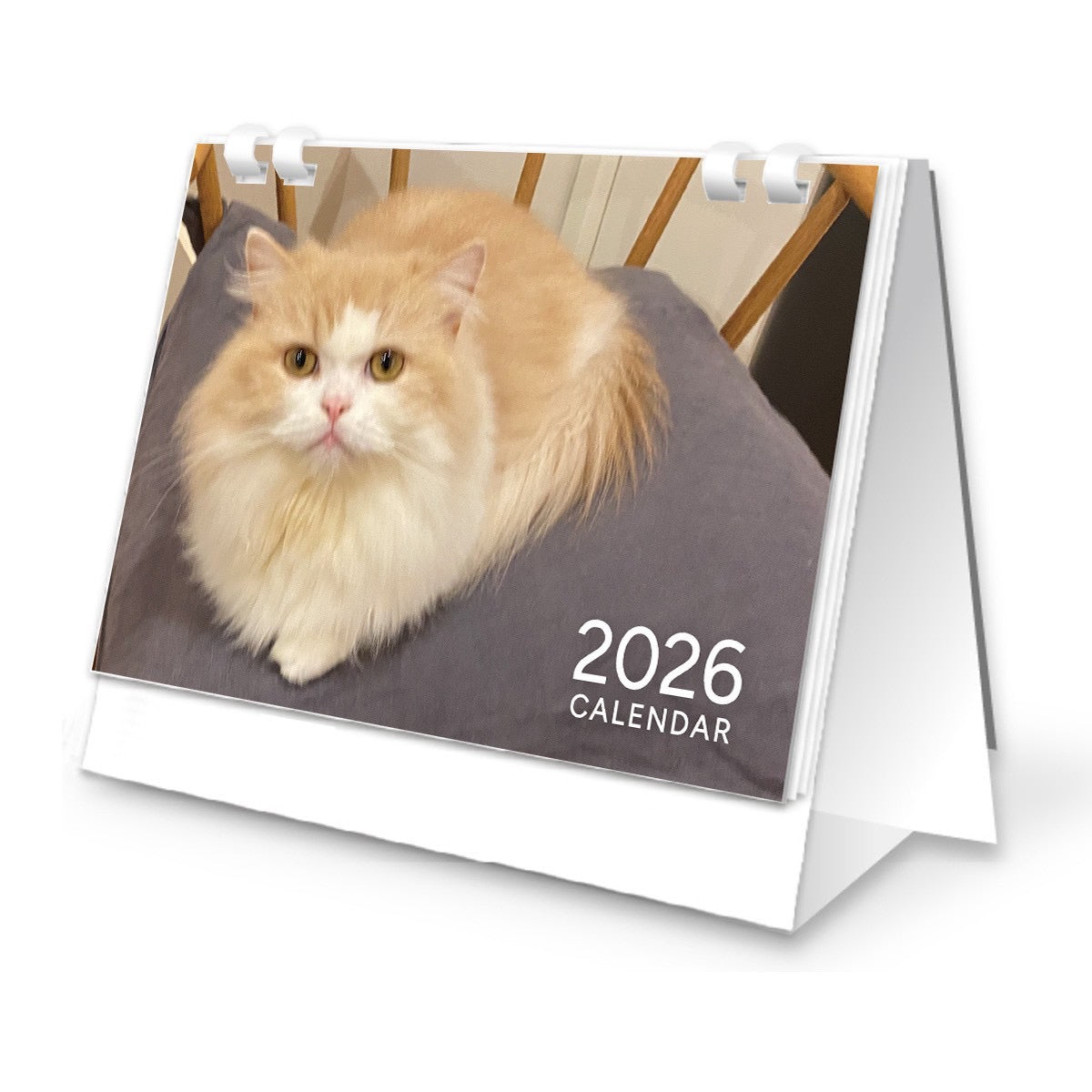 2026卓上カレンダー