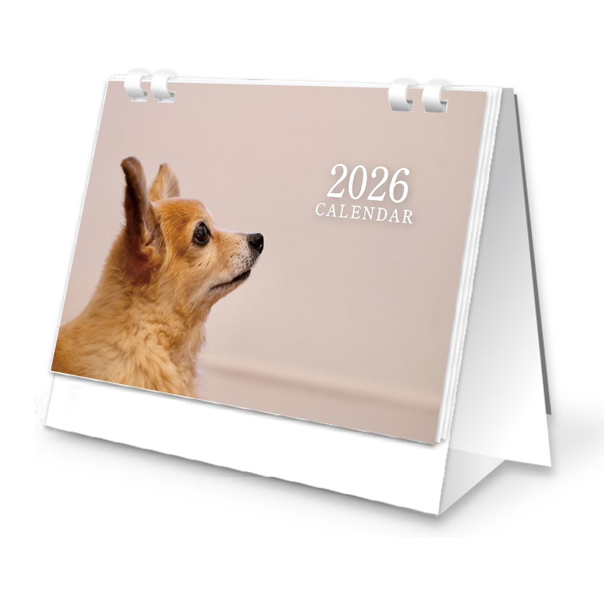 2026卓上カレンダー