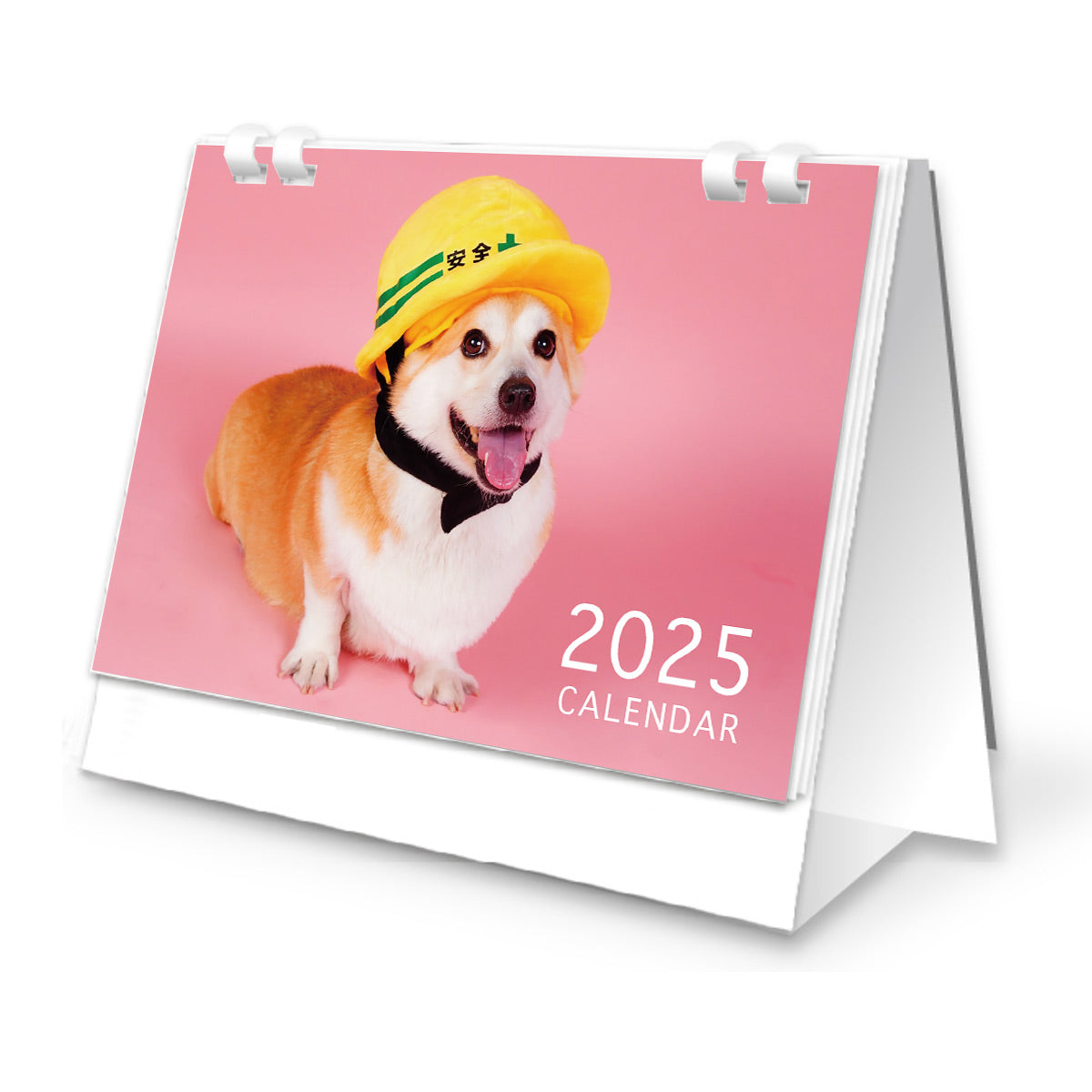 くきたんカレンダー2025