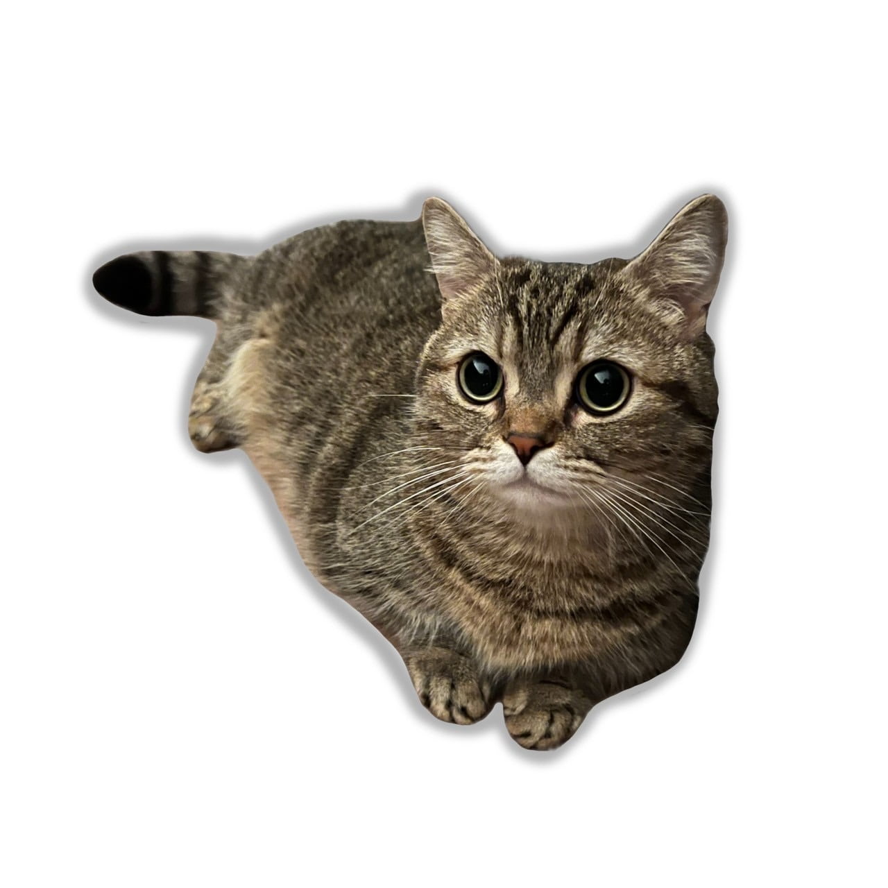 まるステッカーA