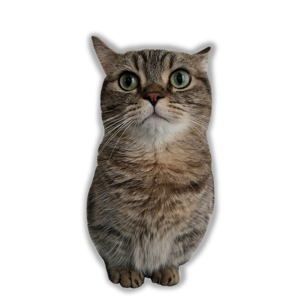 まるステッカーB