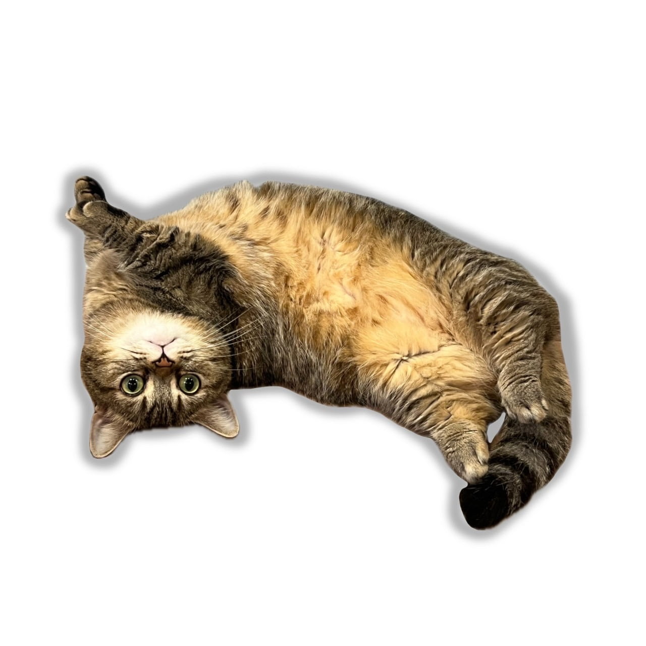 まるステッカーC