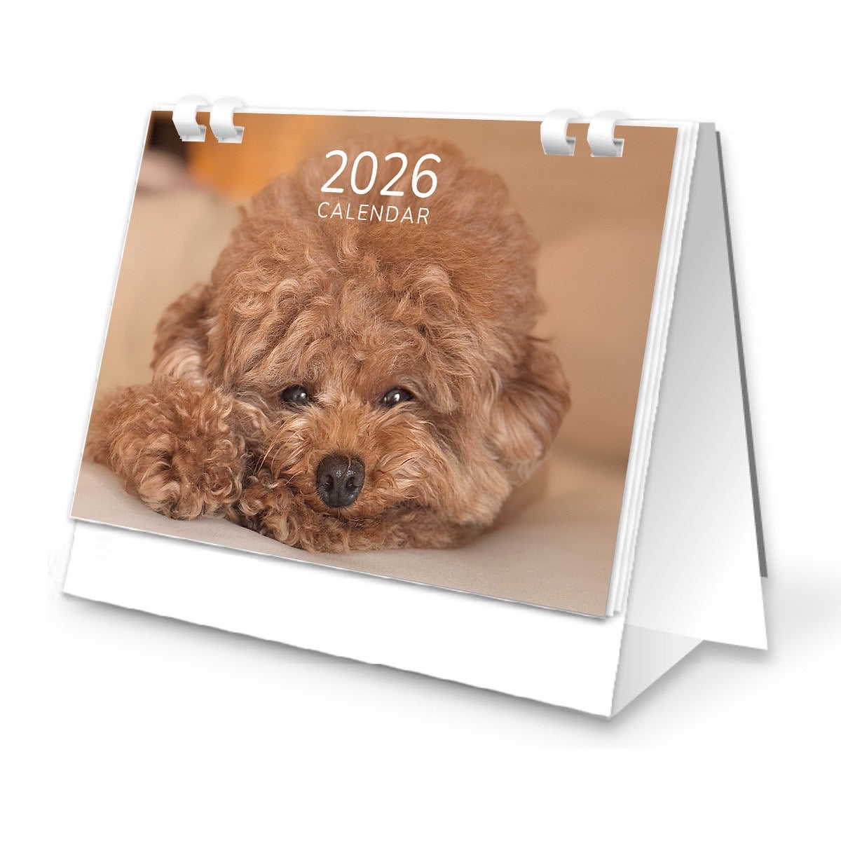 むぎ2026卓上カレンダー