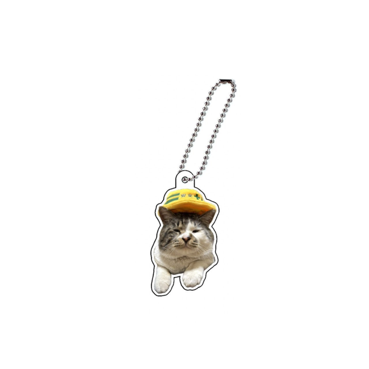 【限定】アクキーB