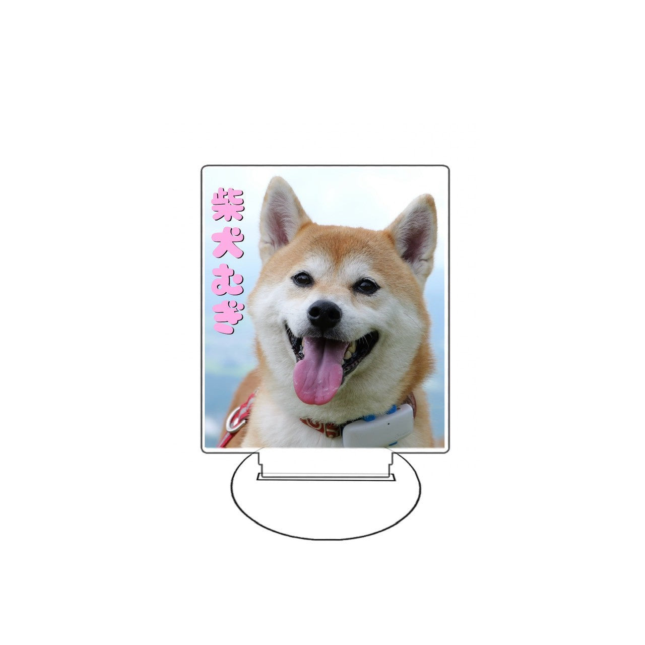 むぎアクスタA