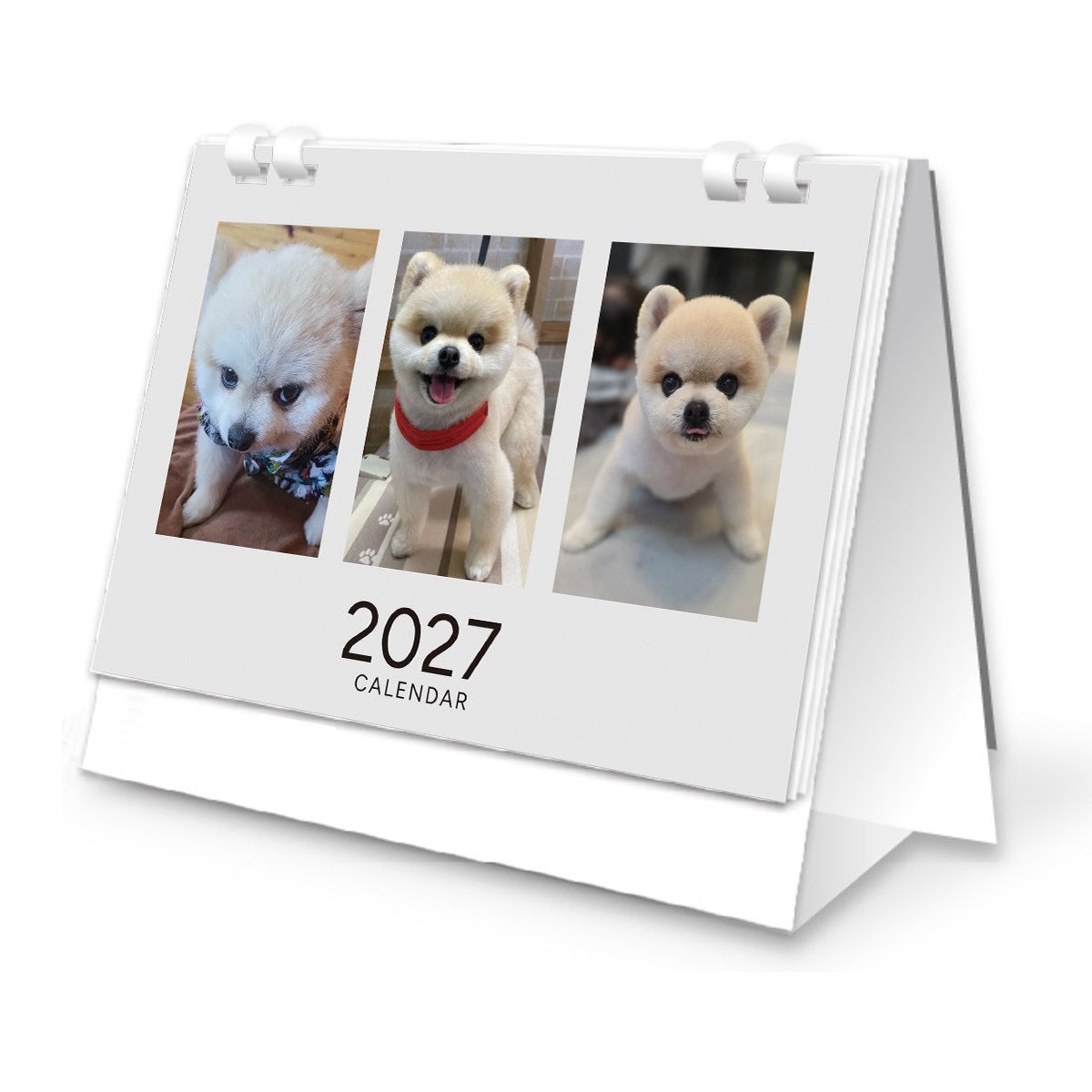 マメすけ2027卓上カレンダー