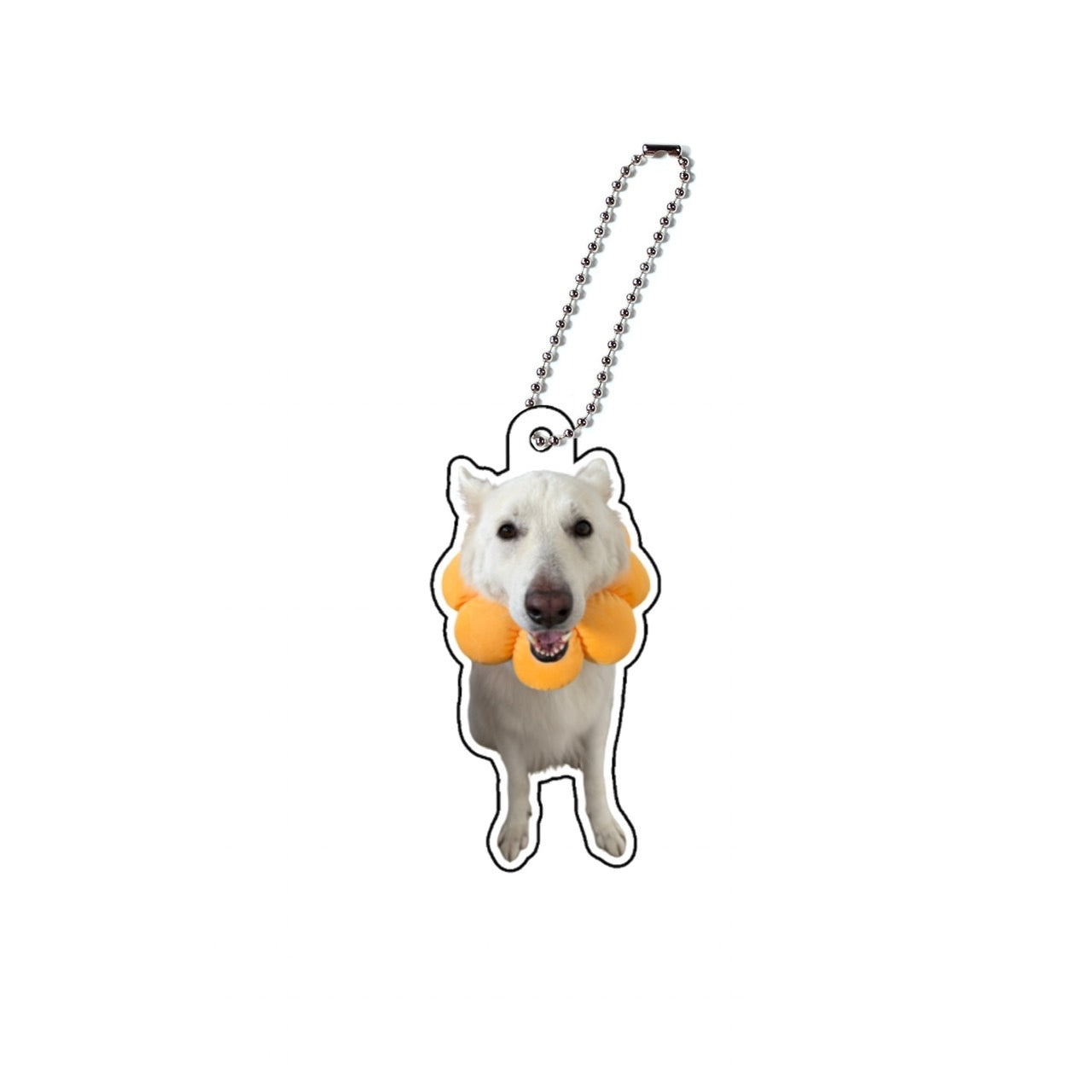 れおアクキー①