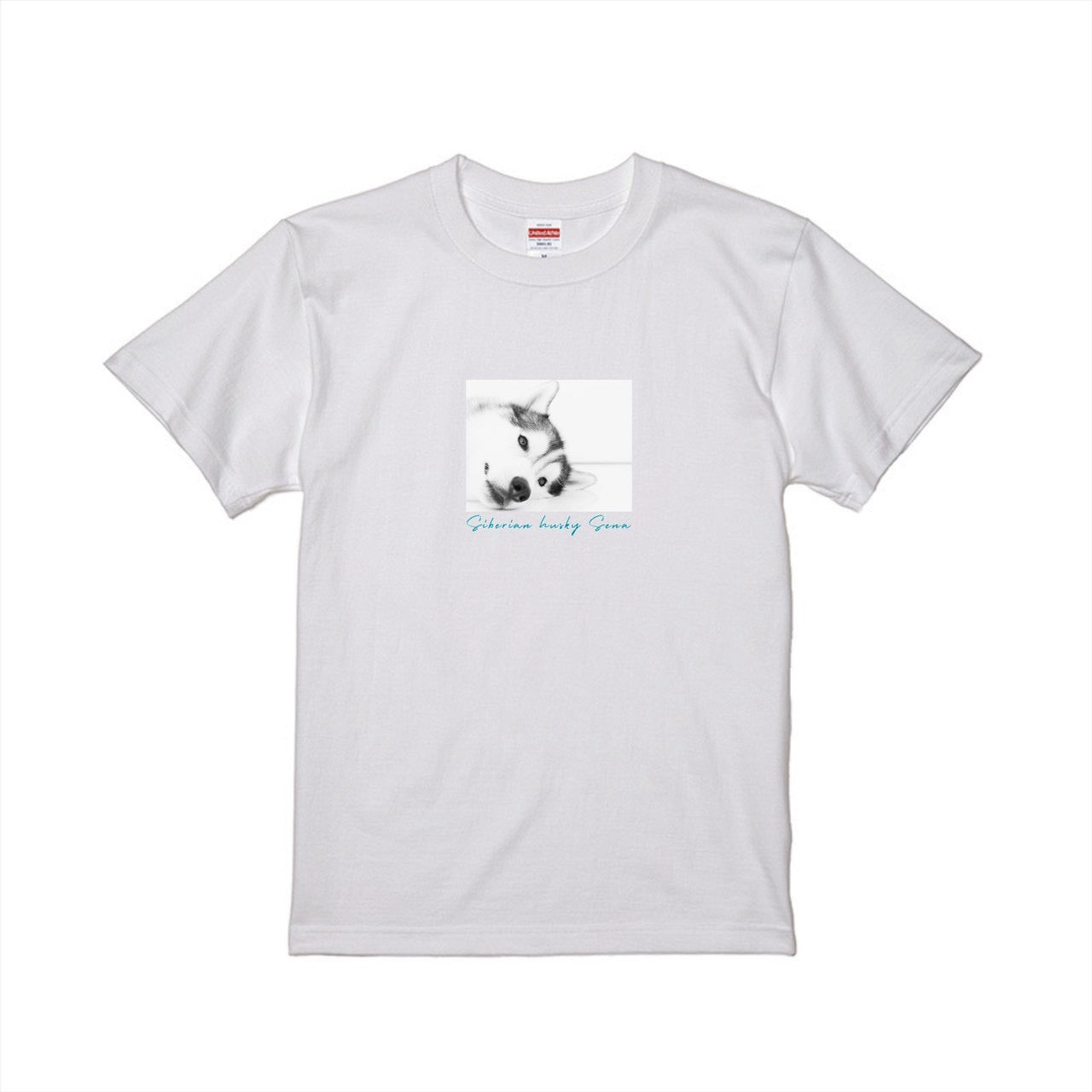 SENA Tシャツ