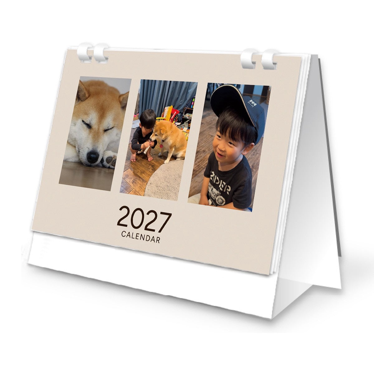 柴犬おいもと坊っちゃん 2027卓上カレンダー