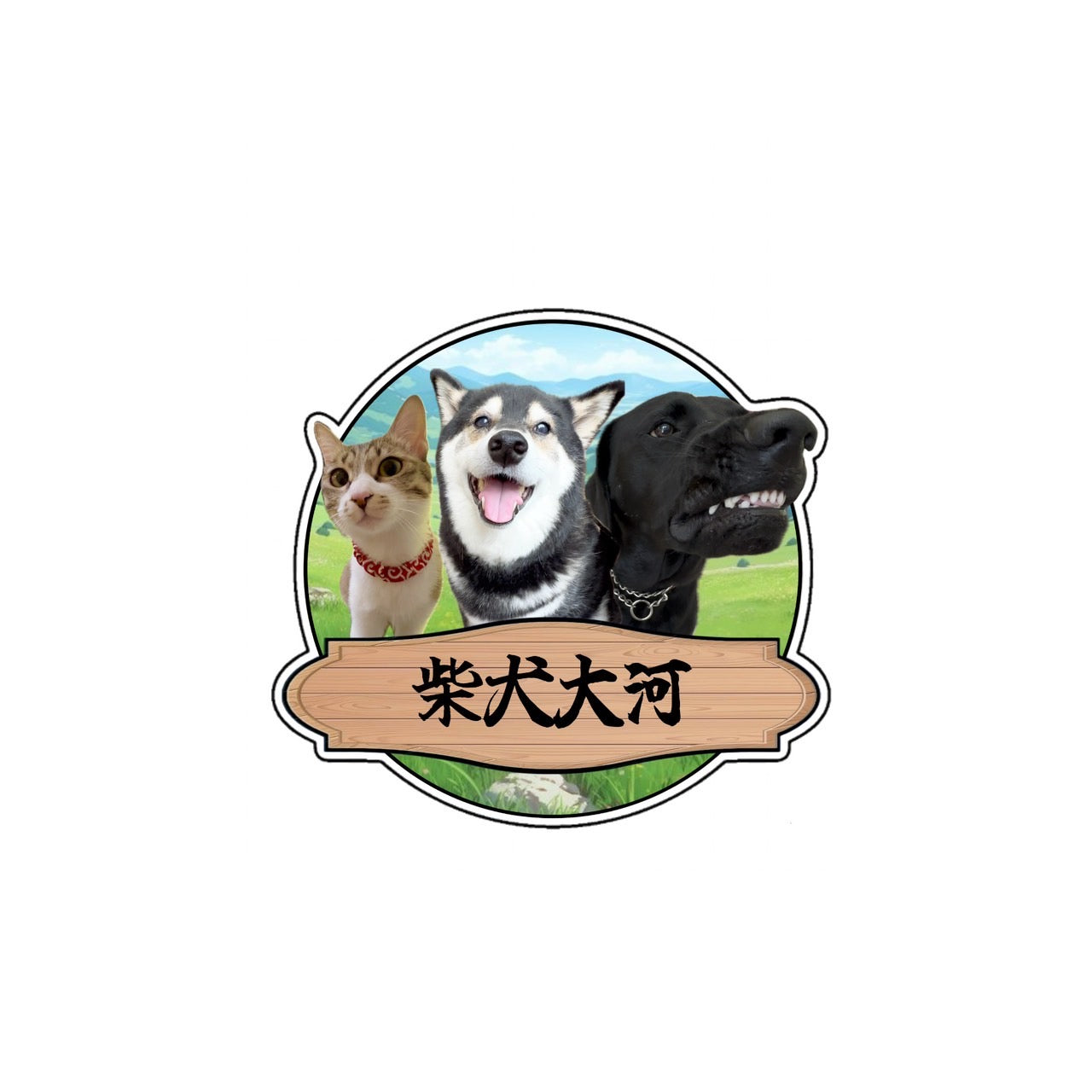 柴犬大河ステッカー