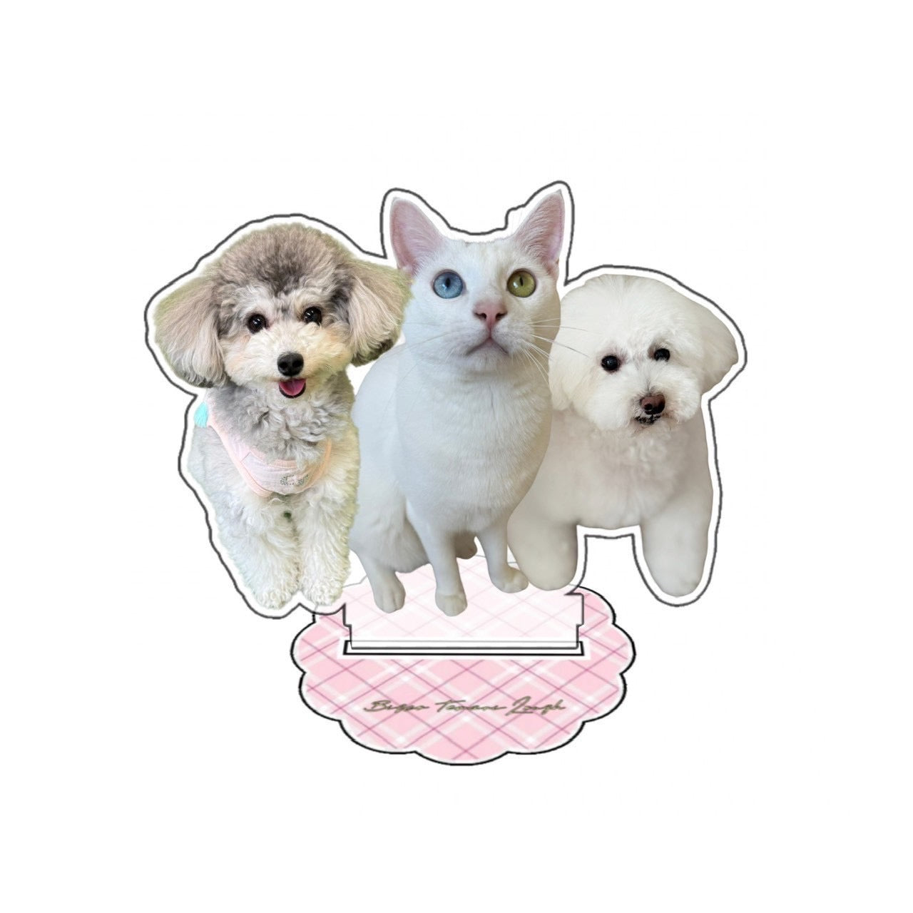 てまり らふ ビスコ アクスタ