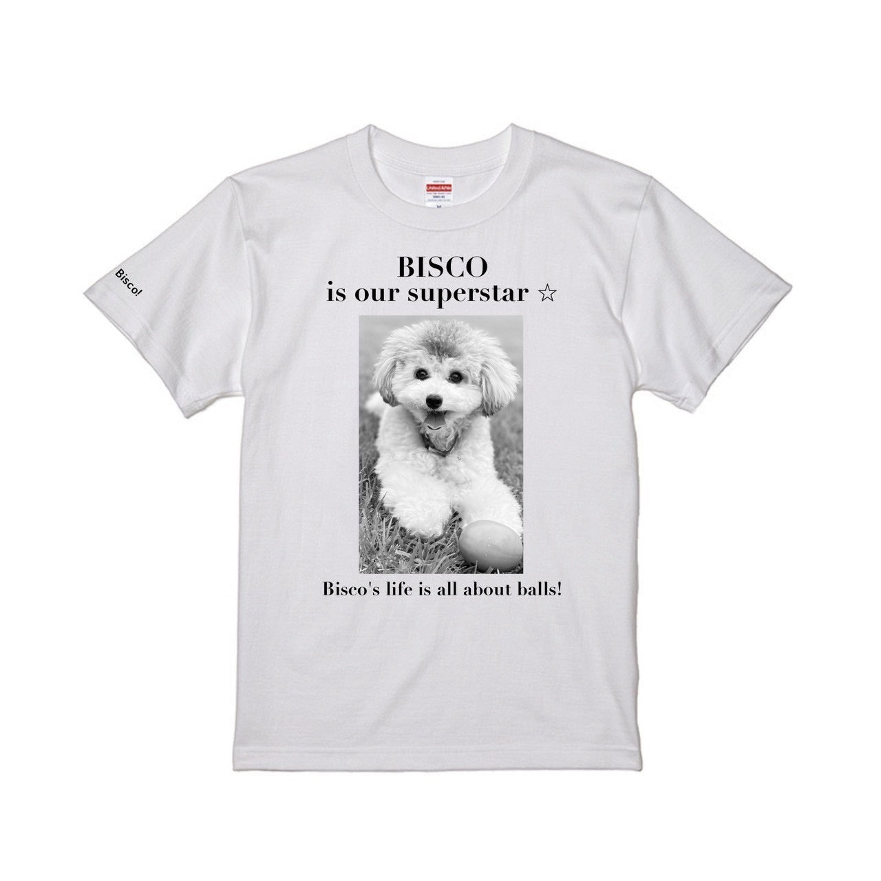 ビスコTシャツA