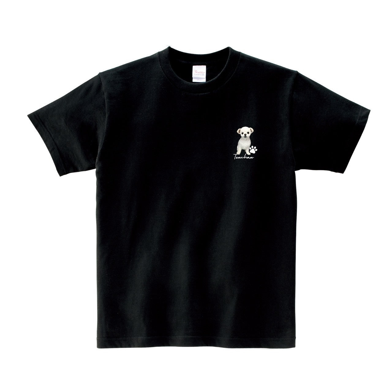 てんちゃんTシャツ