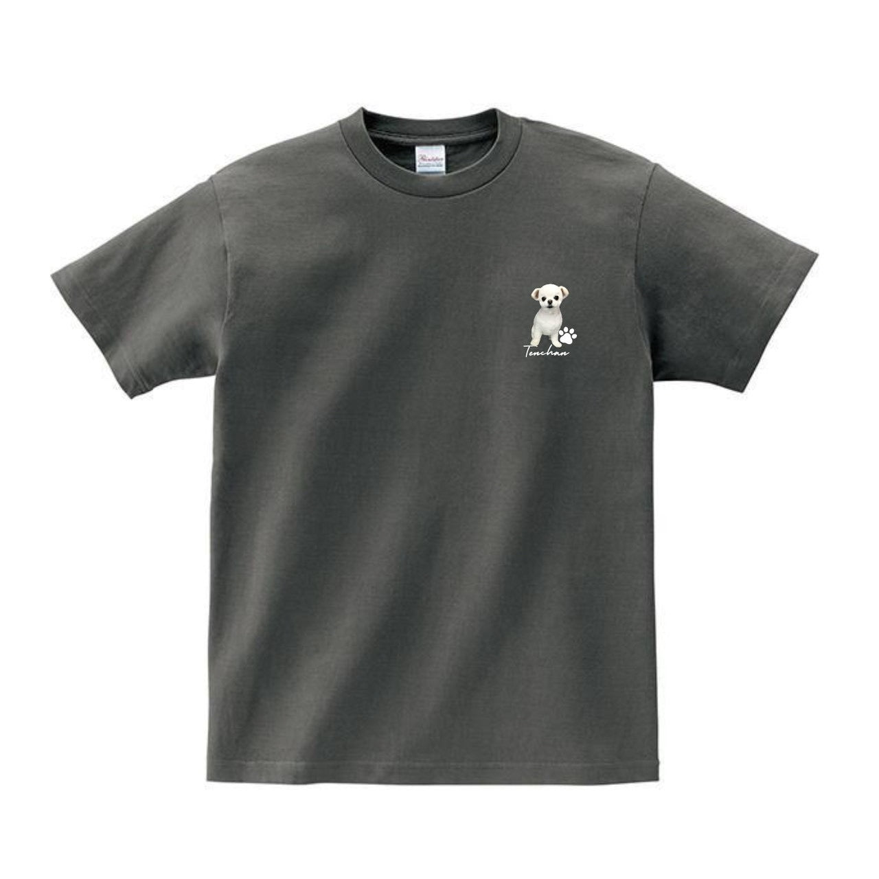 てんちゃんTシャツ