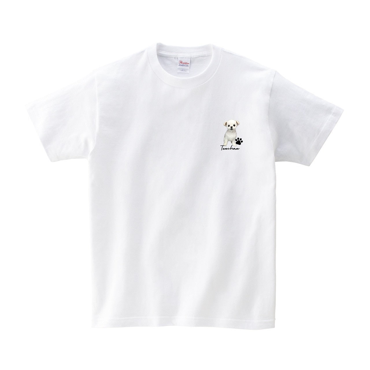 てんちゃんTシャツ