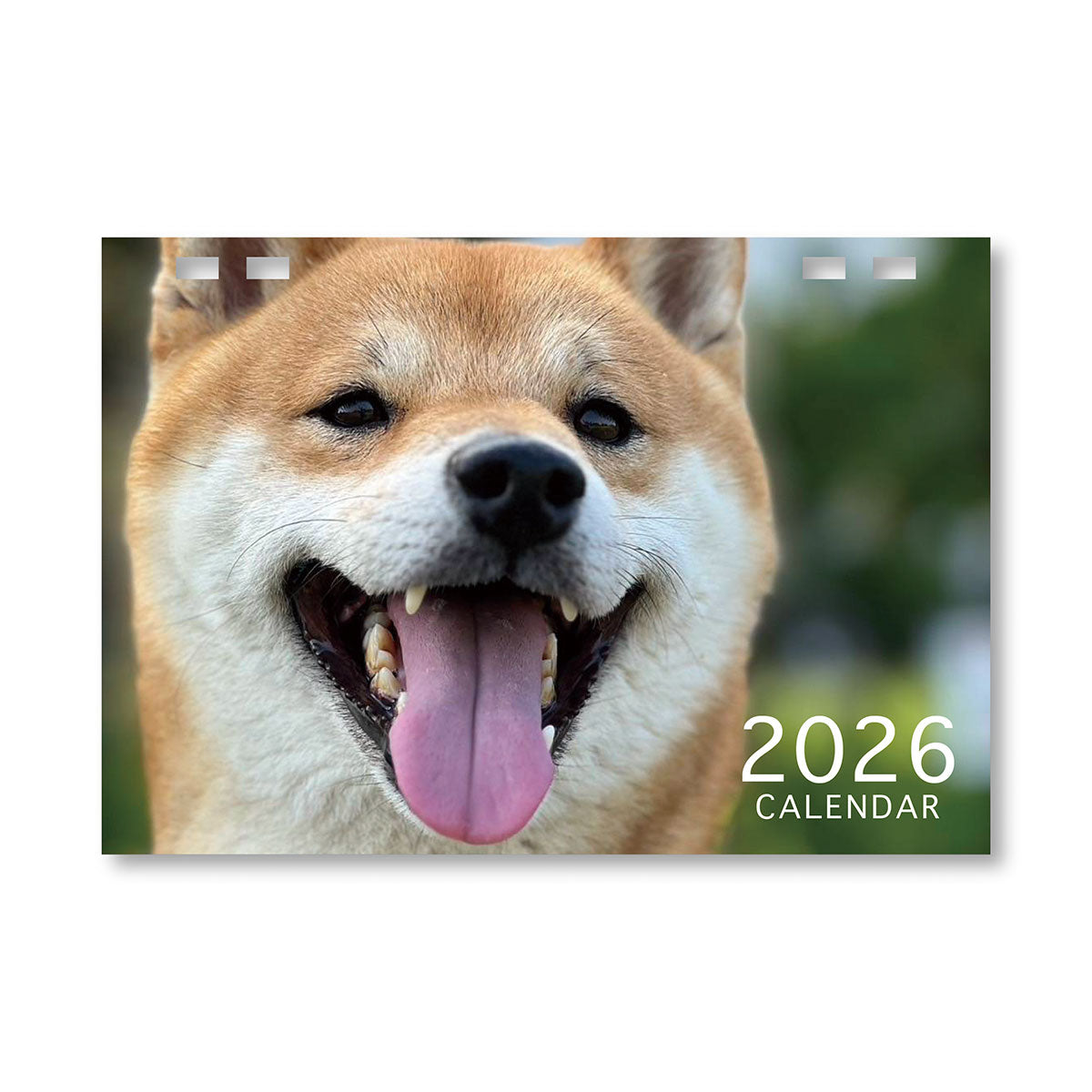 柴犬とん2026卓上カレンダー